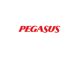 pegasus